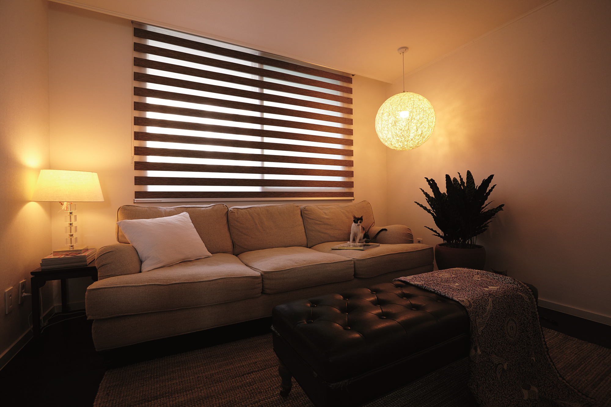 Natural Blinds for Eco-Conscious Homes