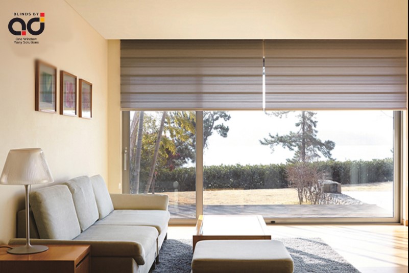 Which Blind is Best for Privacy and Light?